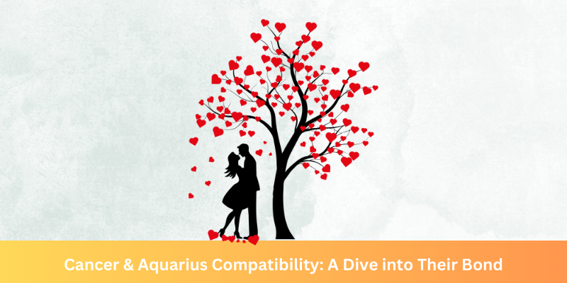 Cancer & Aquarius Compatibility: A  Dive into Their Bond